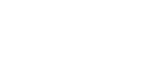 logoblanco health