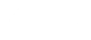 logoblanco roche