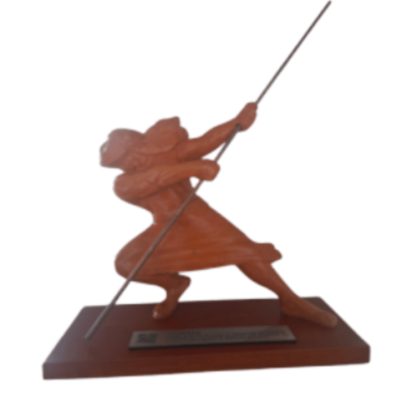 Premio Boga - Innovación Empresarial